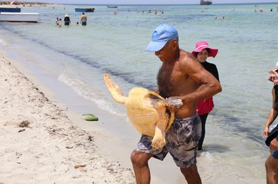 Tortue Marine
