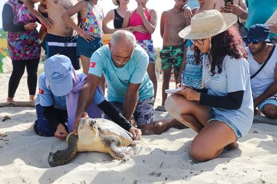 Tortue Marine