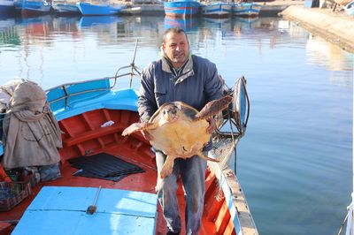 Tortue Marine