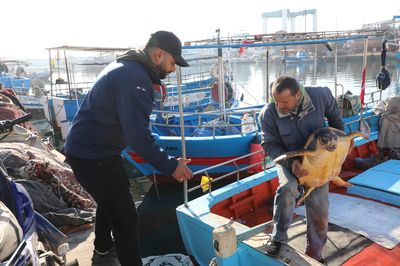 Tortue Marine